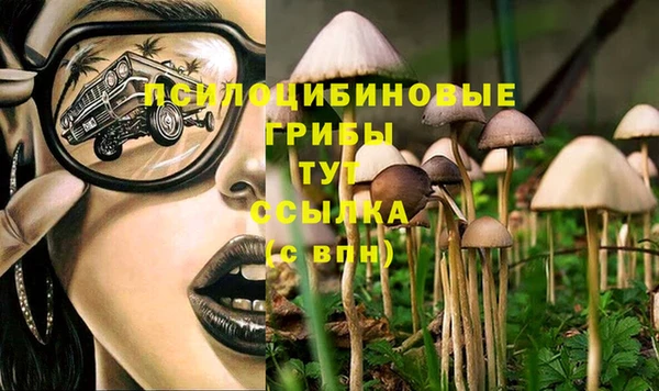 первитин Володарск