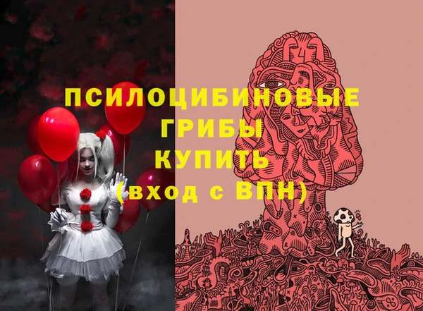 гидропоника Бородино